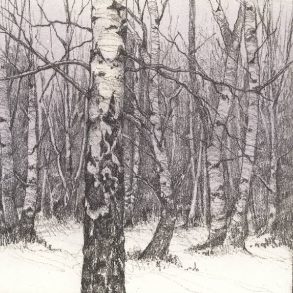 - a , Print by Chrissy Norman, measuring 18 x 18 cm (H x W) framed at 38 x 38 cm £165